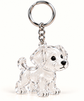 Dog Fur Keepsake Gift Set